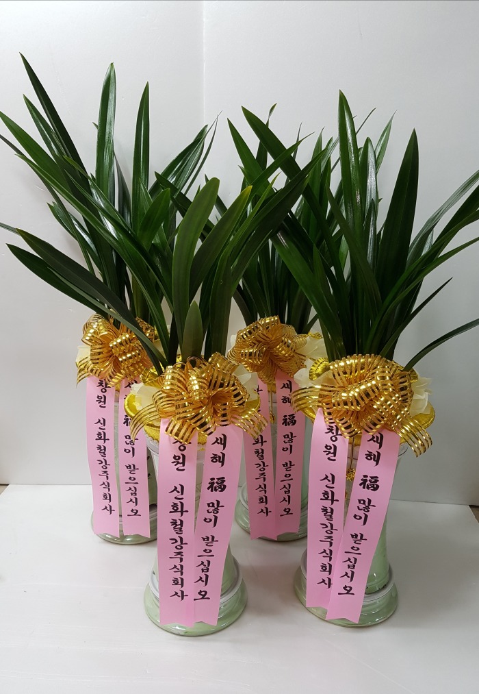 ȭö 뱸ɹ Դϴ 