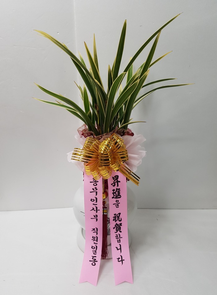 ѹλ  뱸޼ɹ Դϴ 