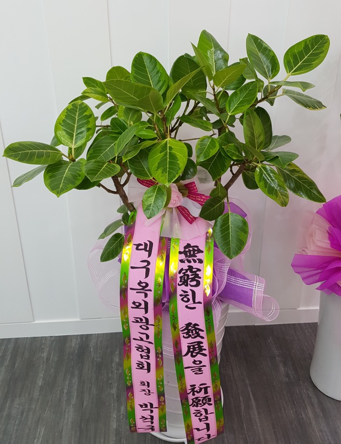 뱸ܱȸ  뱸ϱɹ Դϴ