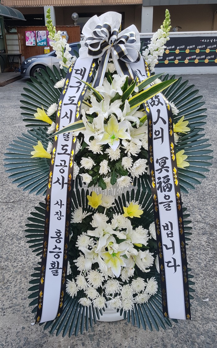 뱸ö 뱸ɹ Դϴ 
