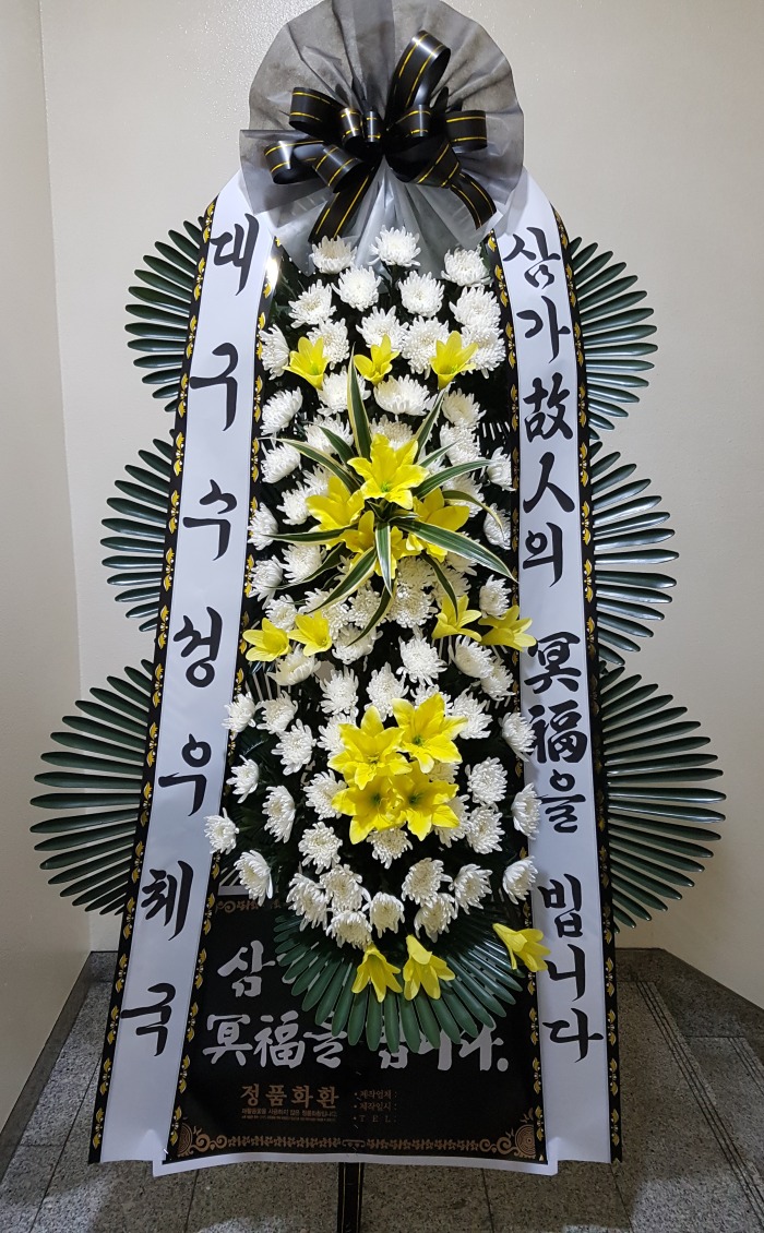 뱸ü 뱸ɹ Դϴ 
