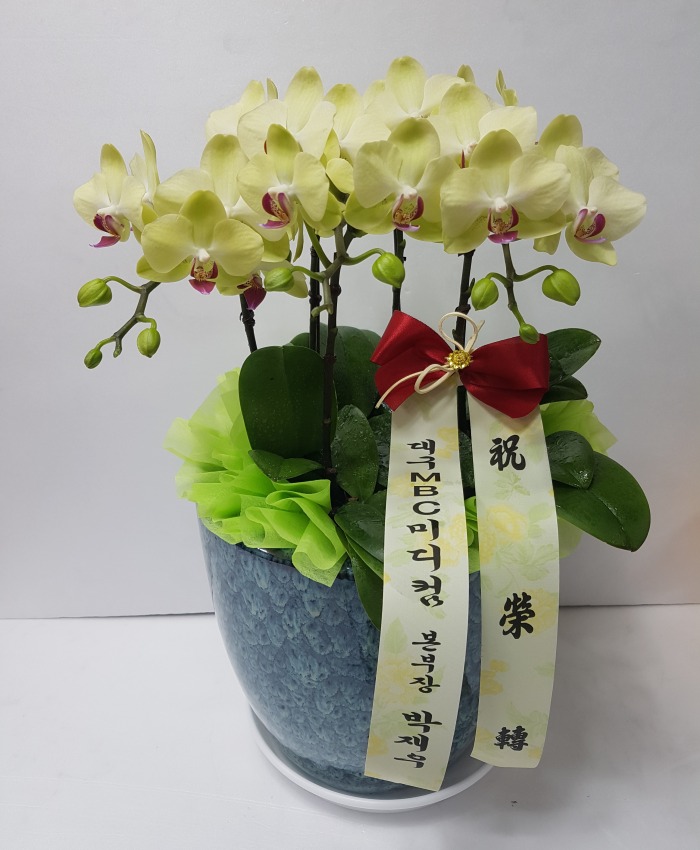 뱸MBC 뱸 Դϴ 