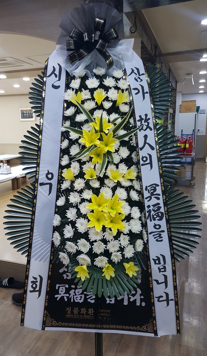 ſȸ 뱸ϱɹ Դϴ 