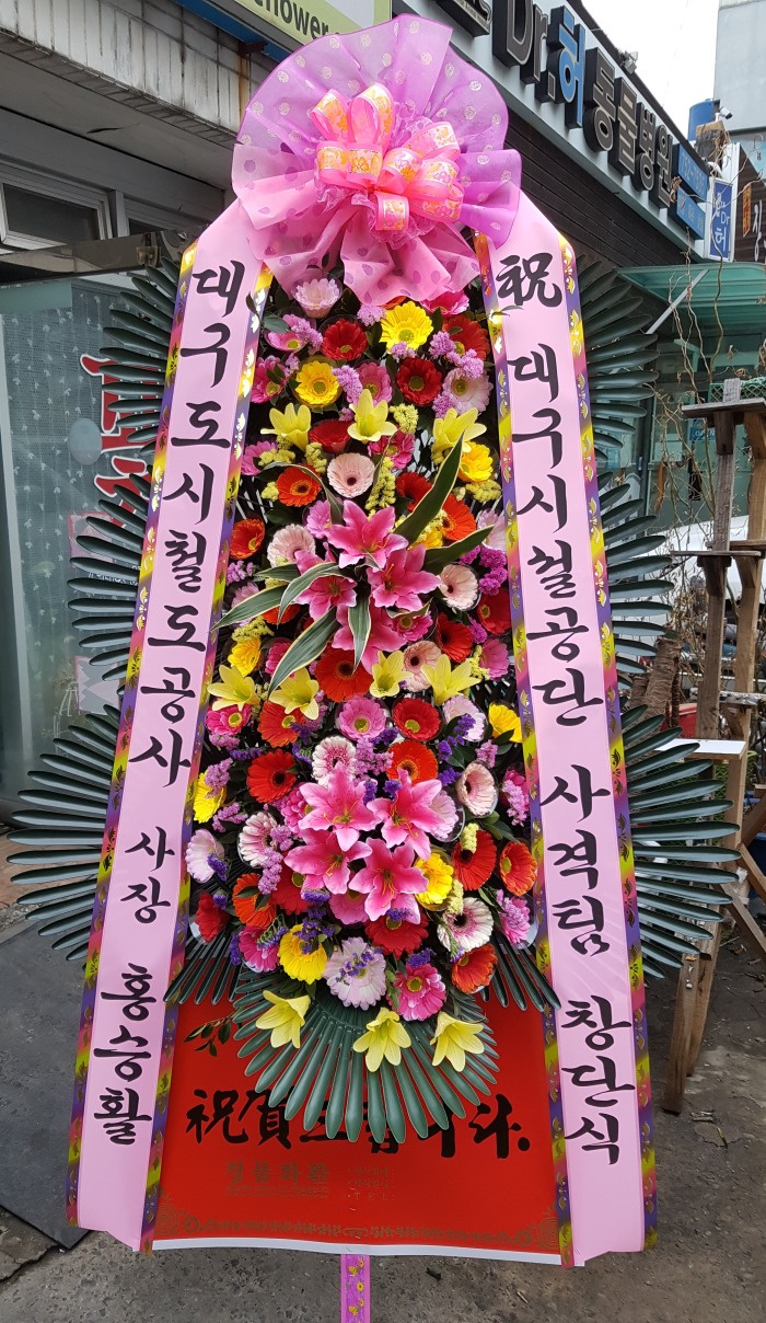 뱸ö 뱸ɹ Դϴ 