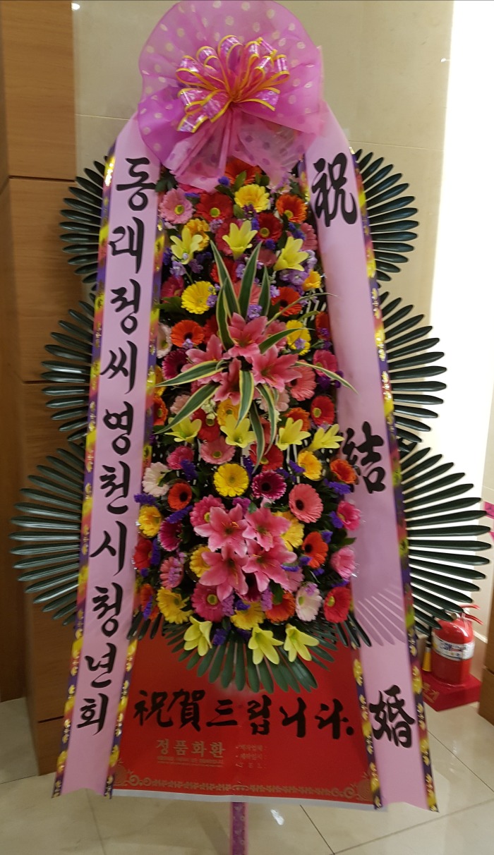  뱸ɹ Դϴ 