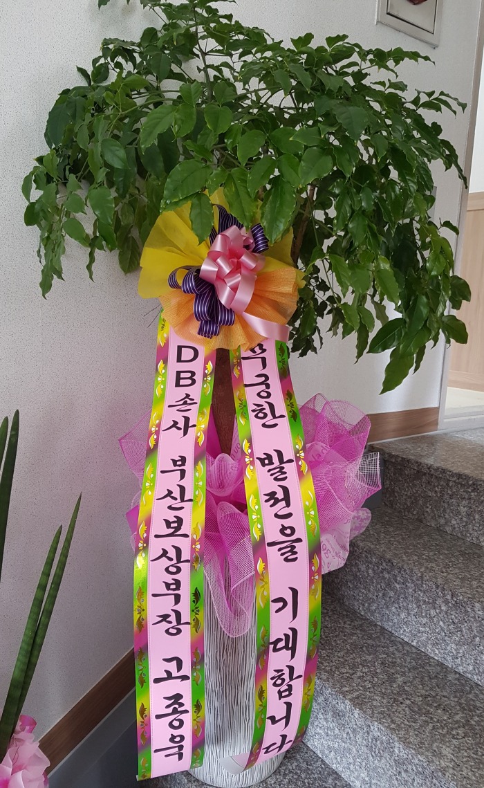 DBջ λ纸δ 뱸ɹ Դϴ 