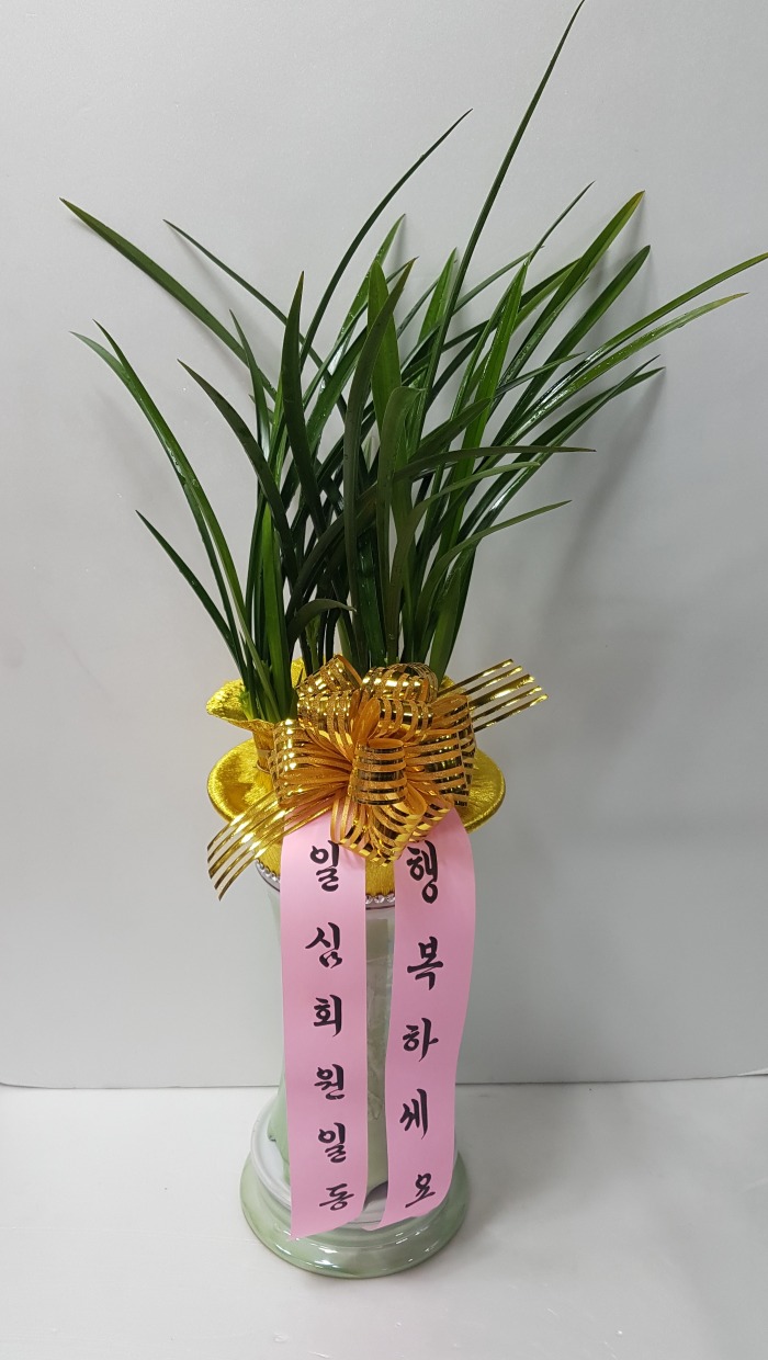 Ͻȸ 뱸ɹ Դϴ 