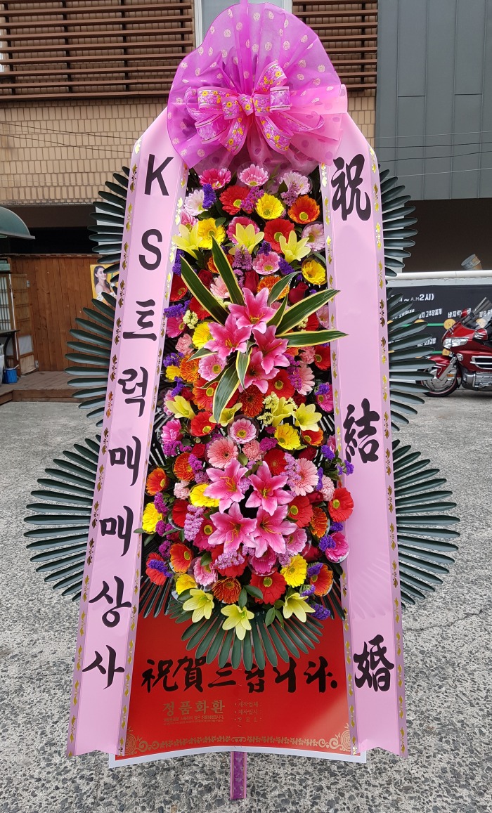 KSƮ 뱸ɹ Դϴ 
