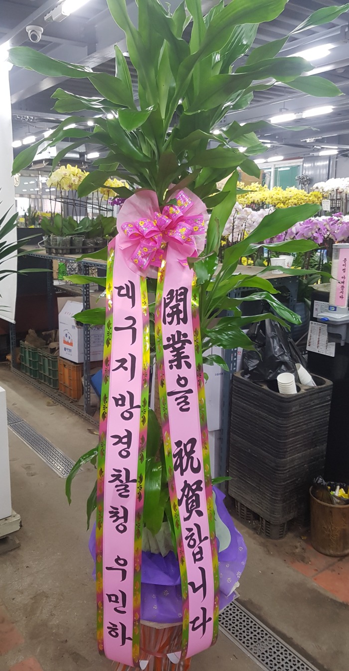 뱸û 뱸ɹ Դϴ 