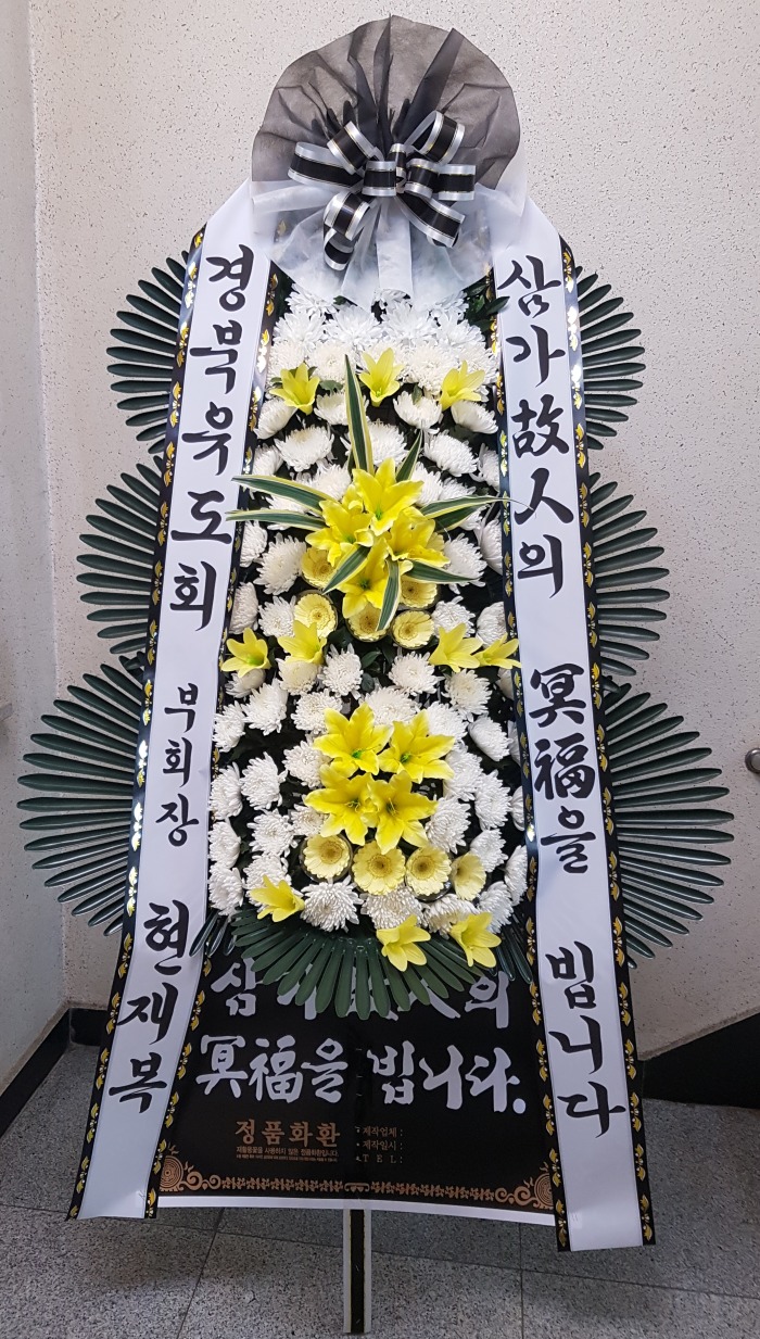 ȸ 뱸ȭȯ Դϴ