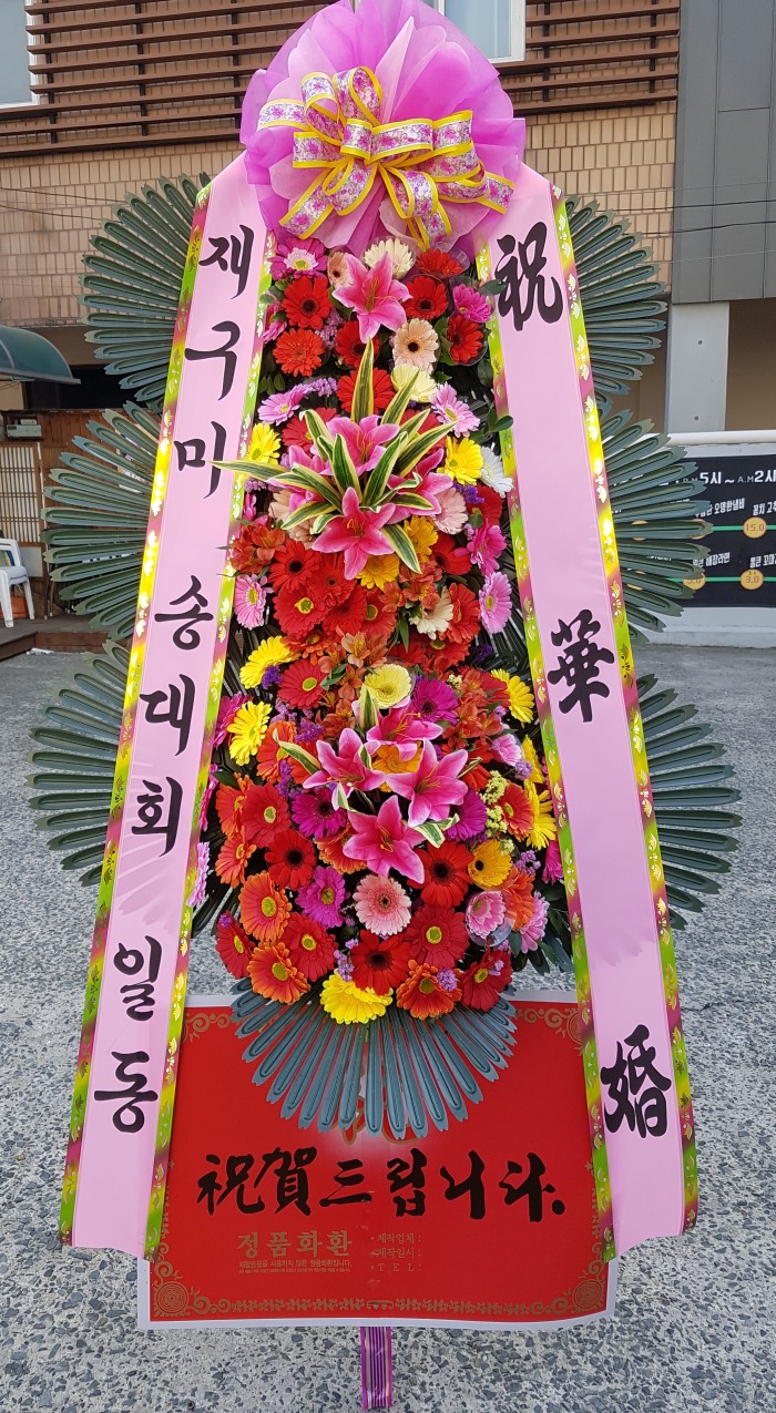 籸 ۴ȸ 뱸ɹ Դϴ 