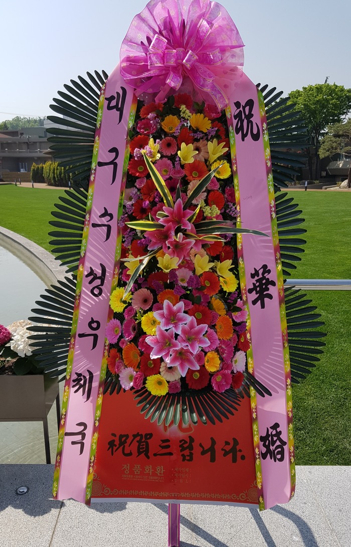 뱸ü 뱸 Դϴ 
