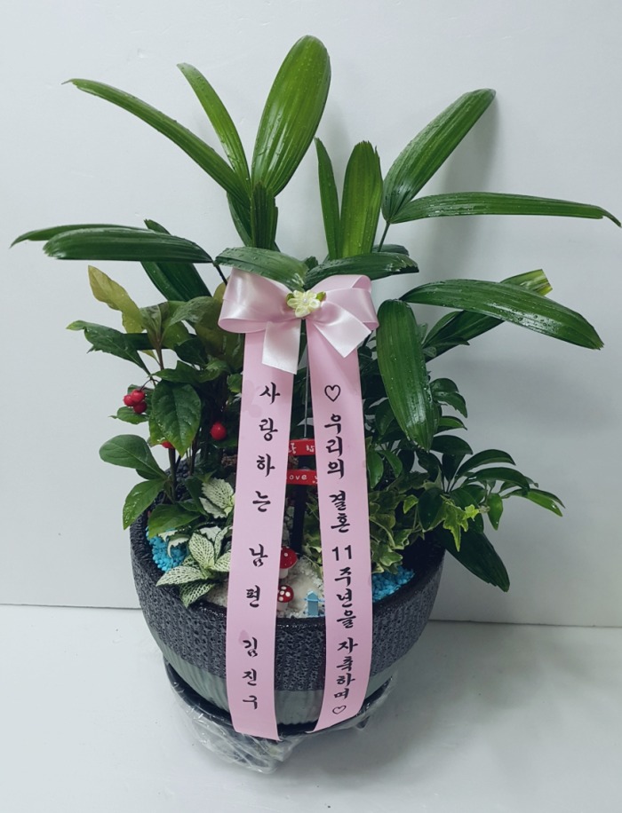 ϴ  뱸ɹ Դϴ