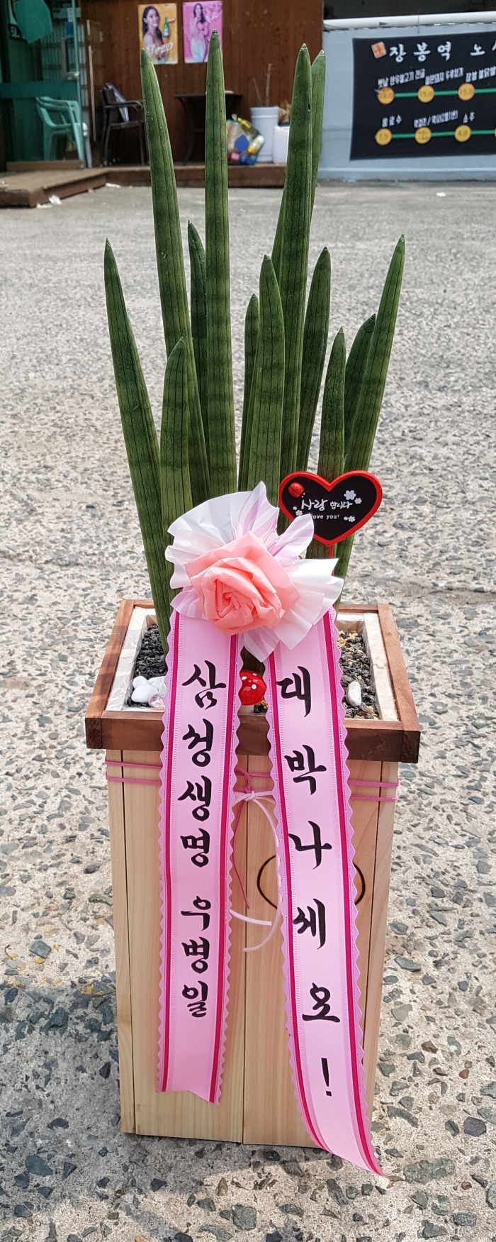 Ｚ 뱸ϱɹ Դϴ 