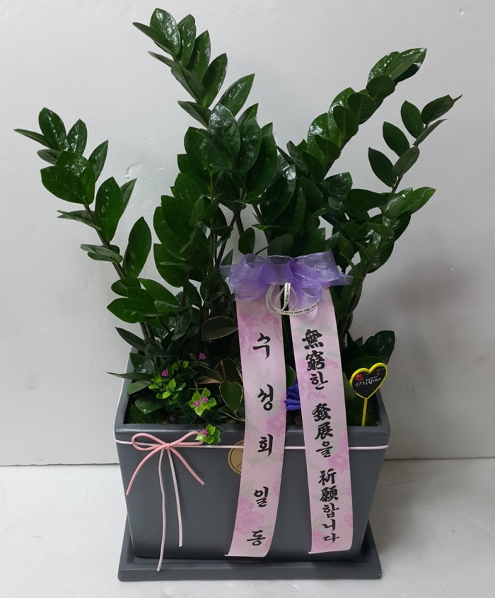 ȸ ܴ 뱸ɹ Դϴ 
