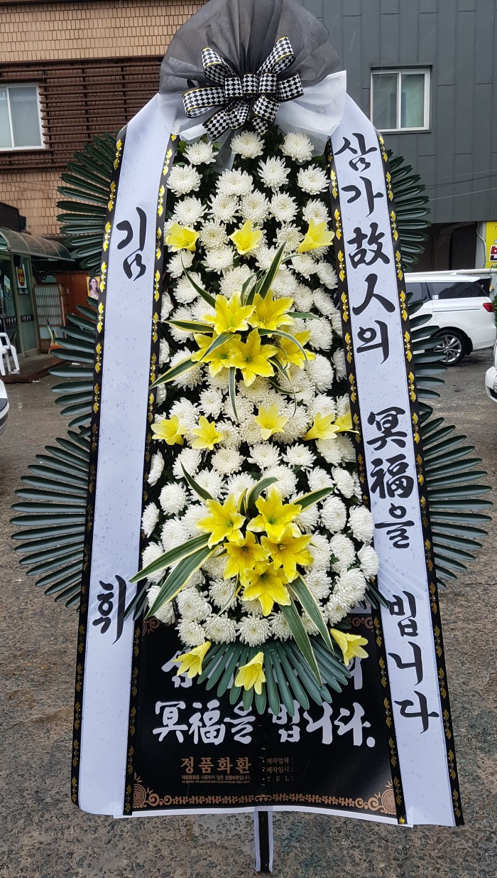 ִ 뱸ȭȯ Դϴ 