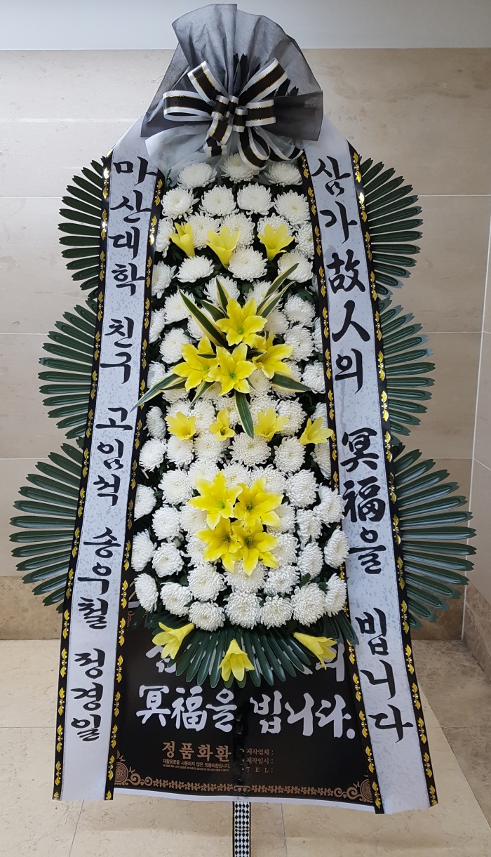 д 뱸ȭȯ Դϴ 