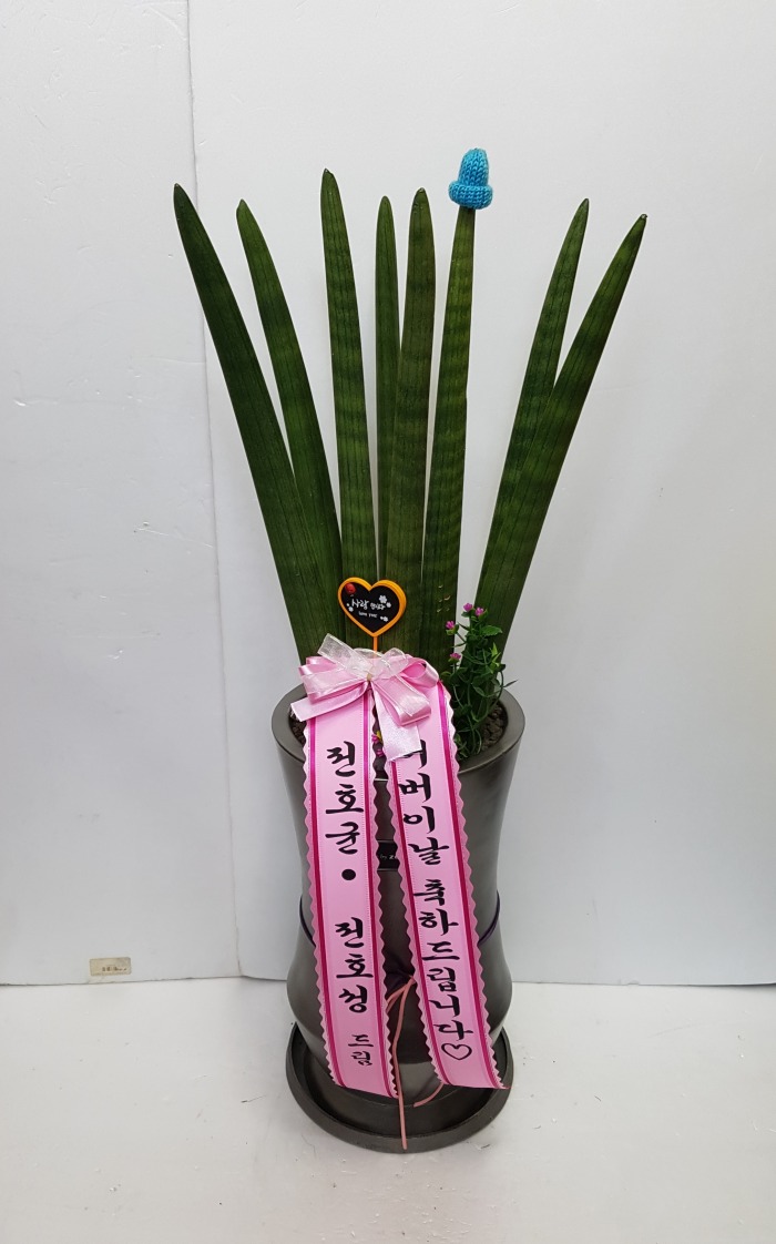  뱸ϱɹ Դϴ 