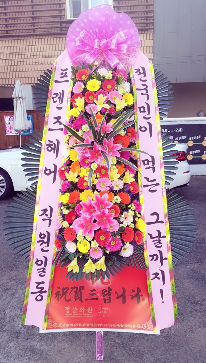  뱸ȭȯ Դϴ