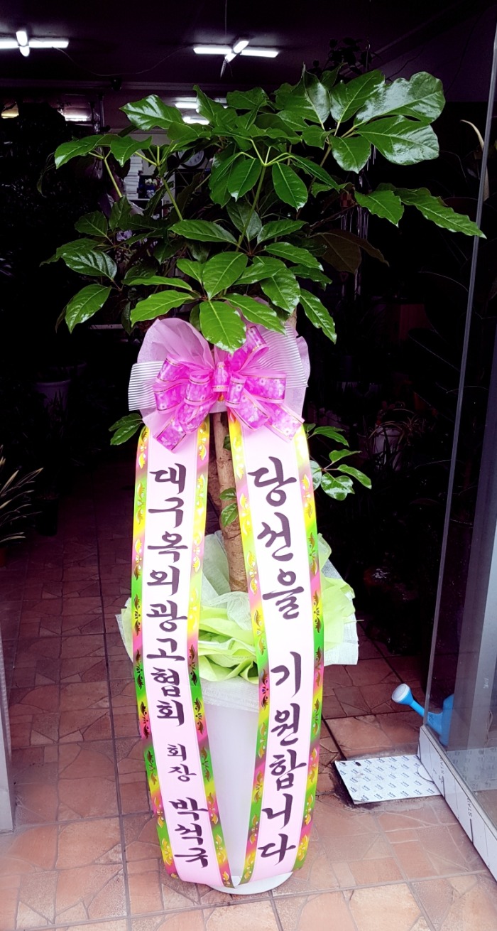 뱸ܱȸ 뱸ɹ Դϴ 