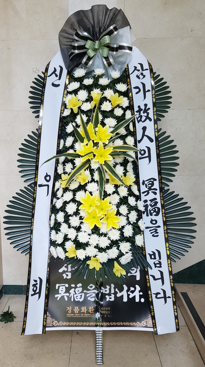 ſȸ 뱸ȭȯ Դϴ 