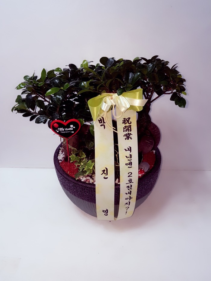 * 뱸ɹ Դϴ 