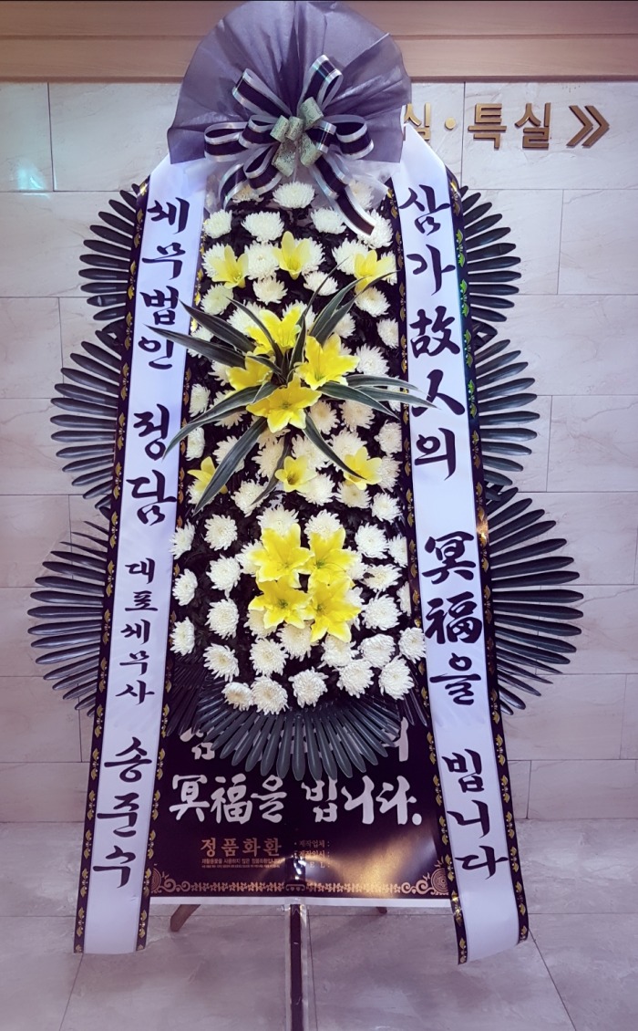   뱸ȭȯ Դϴ 