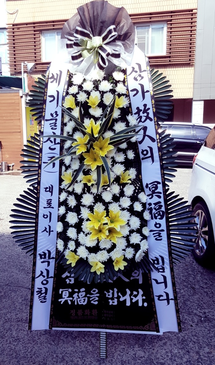 ⹰() 뱸ȭȯ Դϴ 