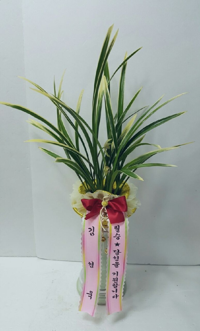 輭  뱸ɹ Դϴ 