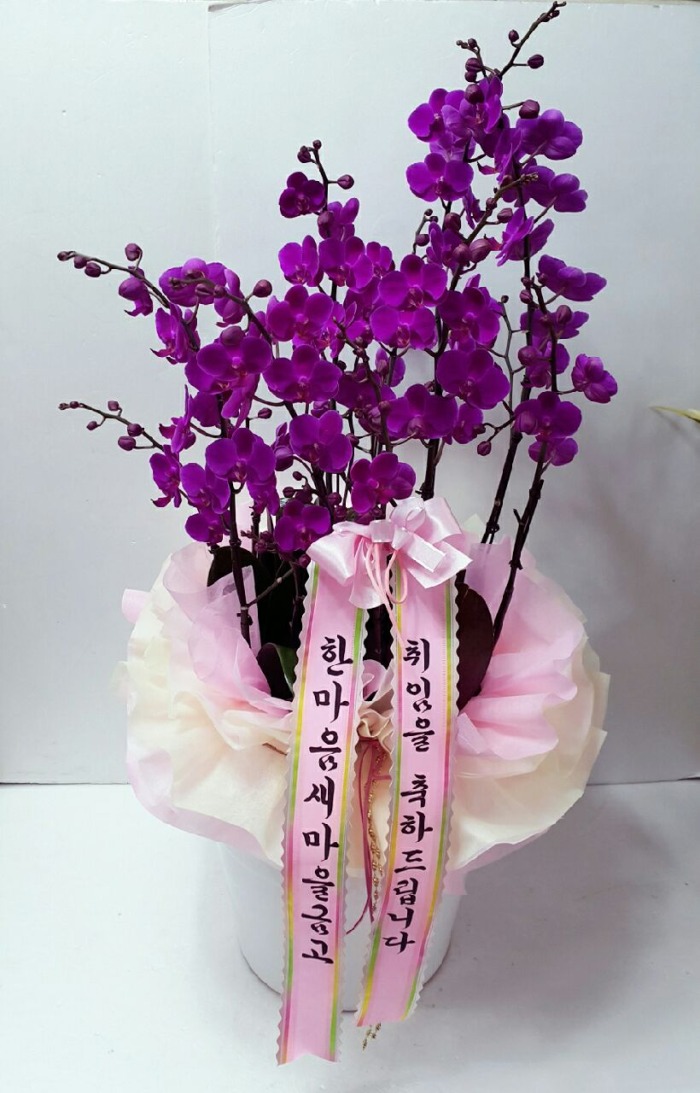 Ѹݰ 뱸 Դϴ 