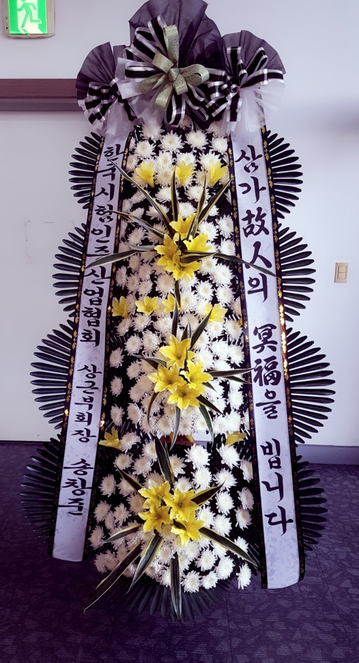 ѱȸ 뱸ȭȯ Դϴ 