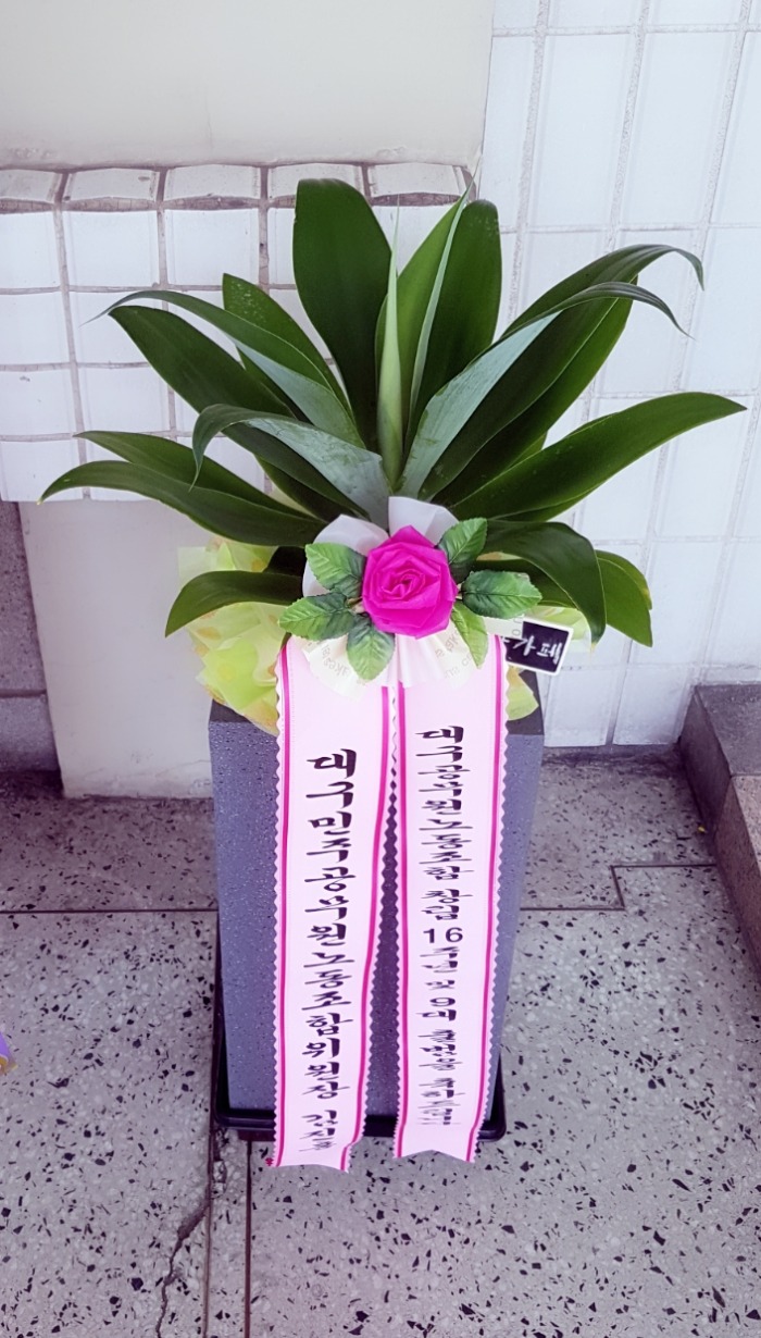 뱸ְ 뱸ɹ Դϴ