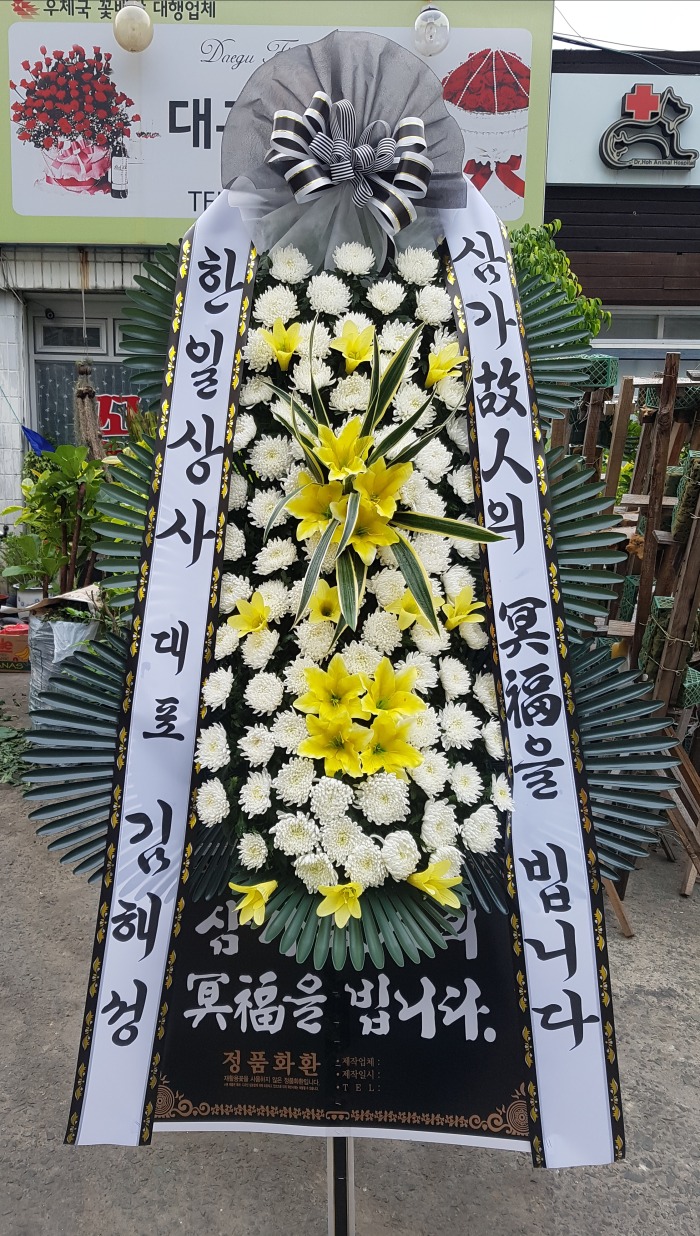 ϻ 뱸ɹ Դϴ 