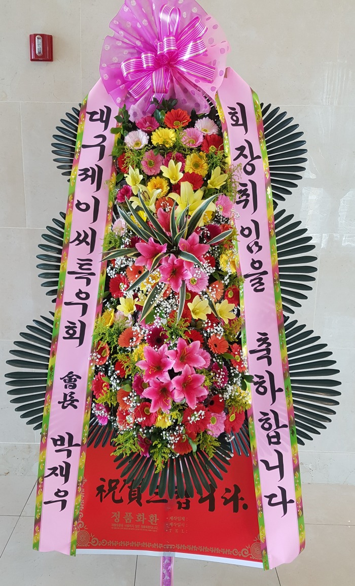뱸JCƯȸ 뱸ȭȯ Դϴ 