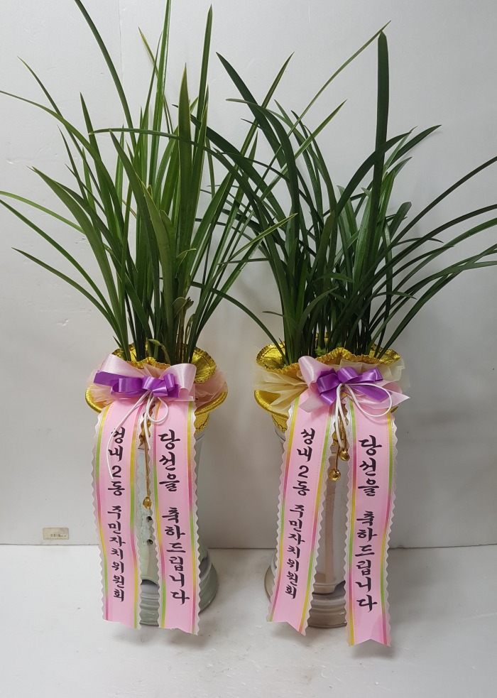 1. 뱸߱ɹ Դϴ 