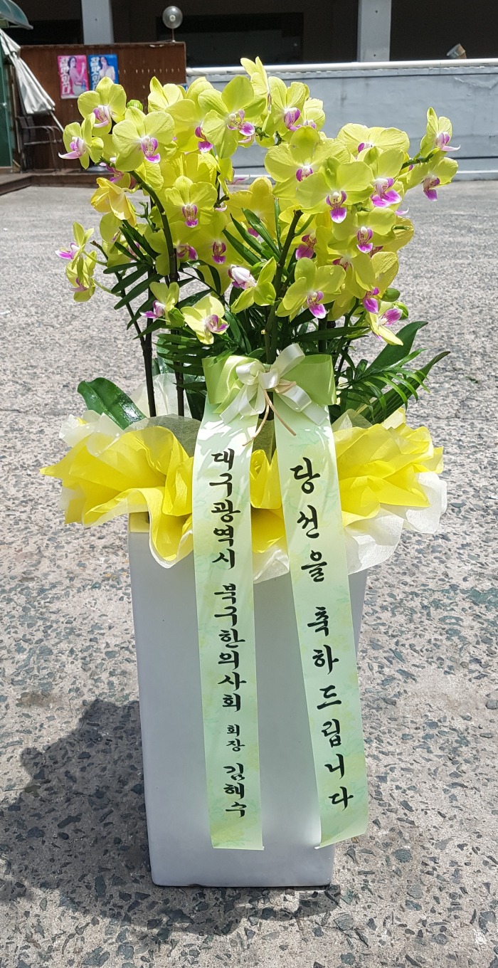 뱸 ϱǻȸ 뱸ɹ Դϴ 