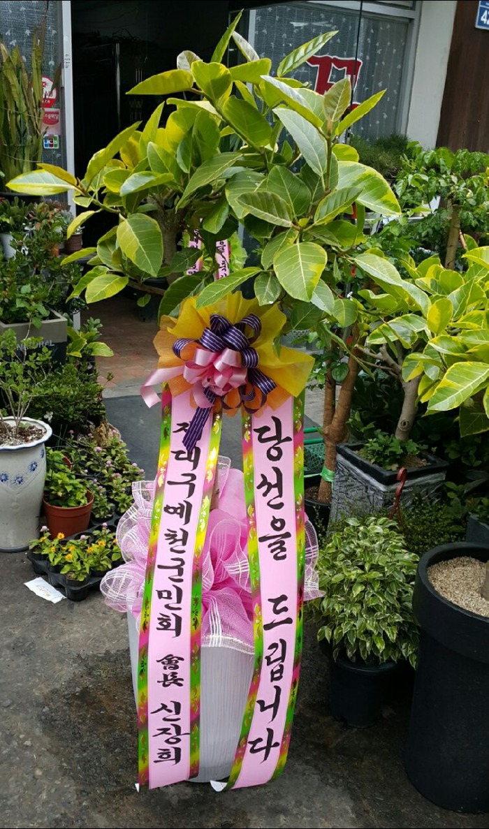 뱸õȸ  뱸ɹ Դϴ 