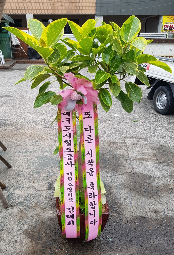 뱸ö 뱸ɹ Դϴ 