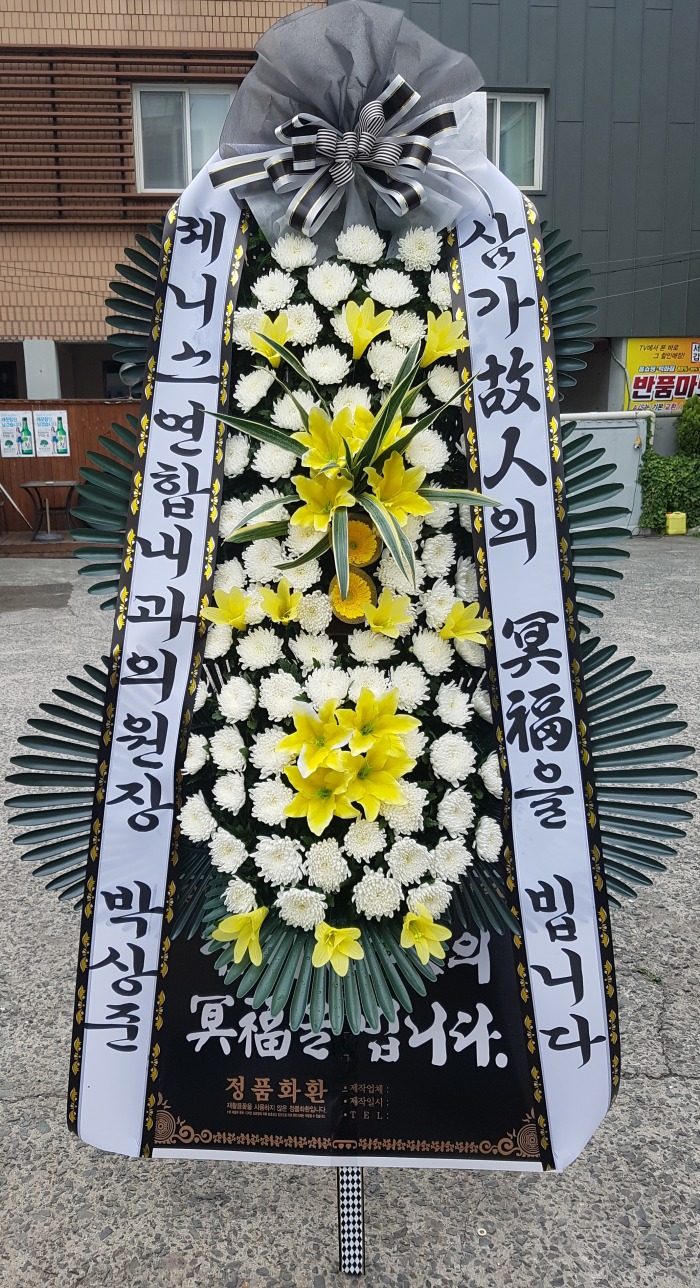 Ͻճ 뱸ȭȯ Դϴ