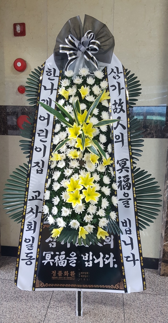 ѳ 뱸ɹ Դϴ 