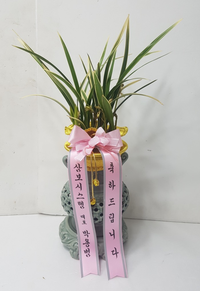 ﺸý۴ 뱸ɹ Դϴ 