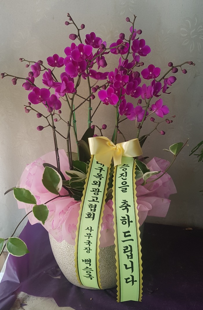 뱸ܱȸ 뱸 Դϴ 