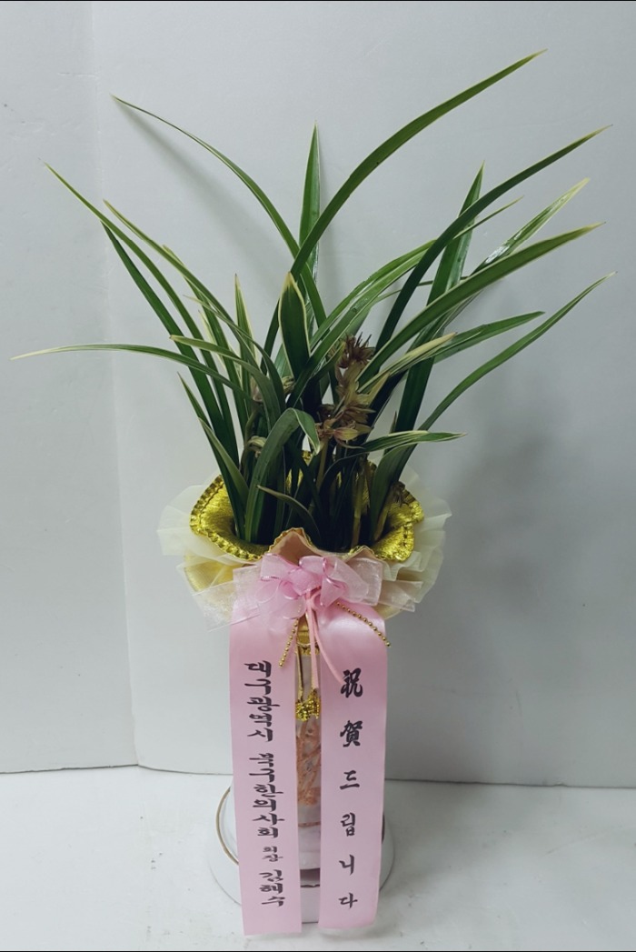 뱸 ϱǻȸ 뱸ɹ Դϴ 
