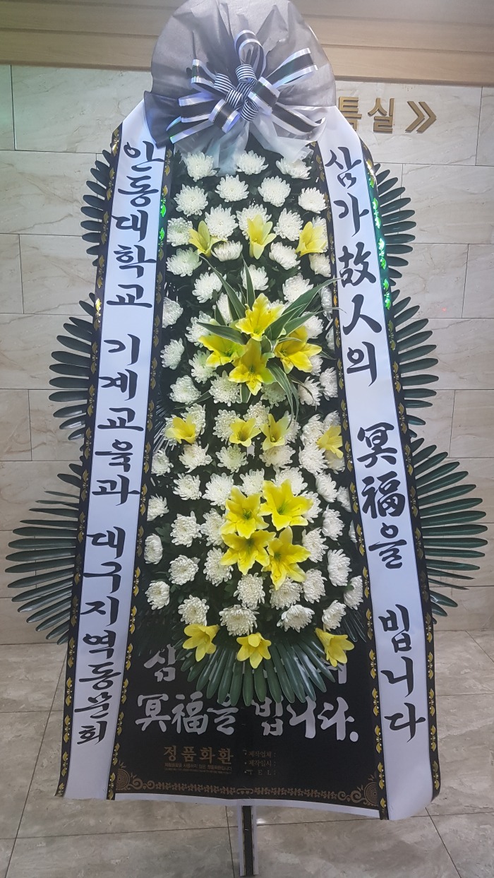 ȵб 뱸ȭȯ Դϴ 