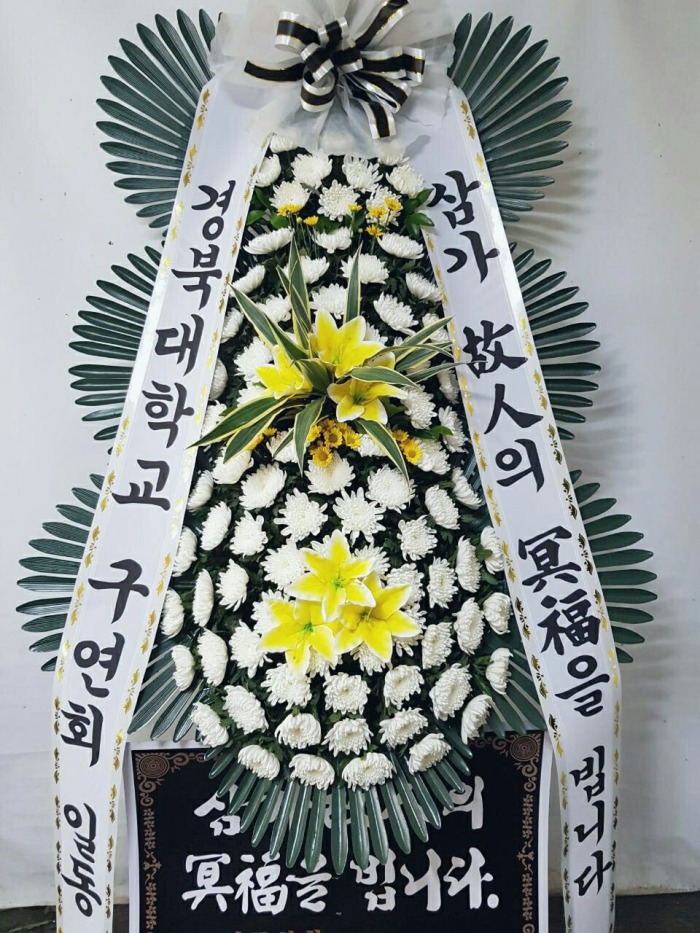 ϴб 뱸ȭȯ Դϴ 