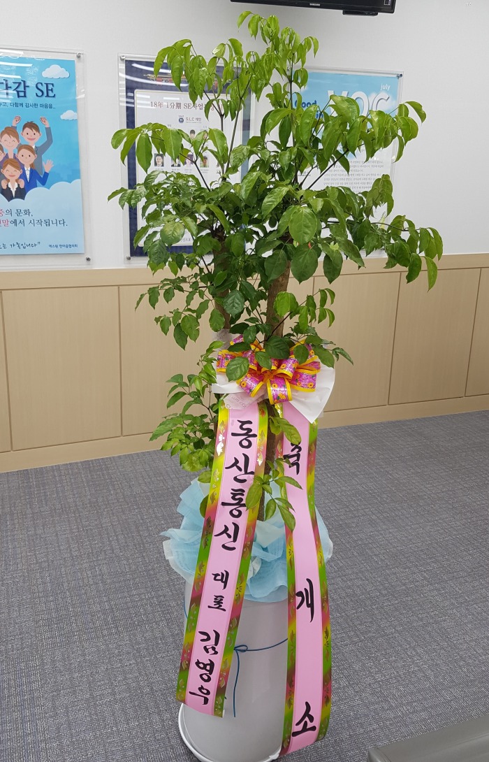 Ŵ 뱸ɹ ũö Դϴ 