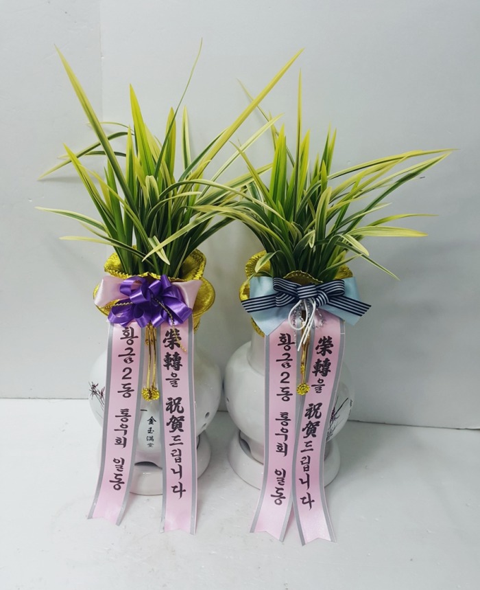 Ȳ2 ȸ 뱸ɹ Դϴ 