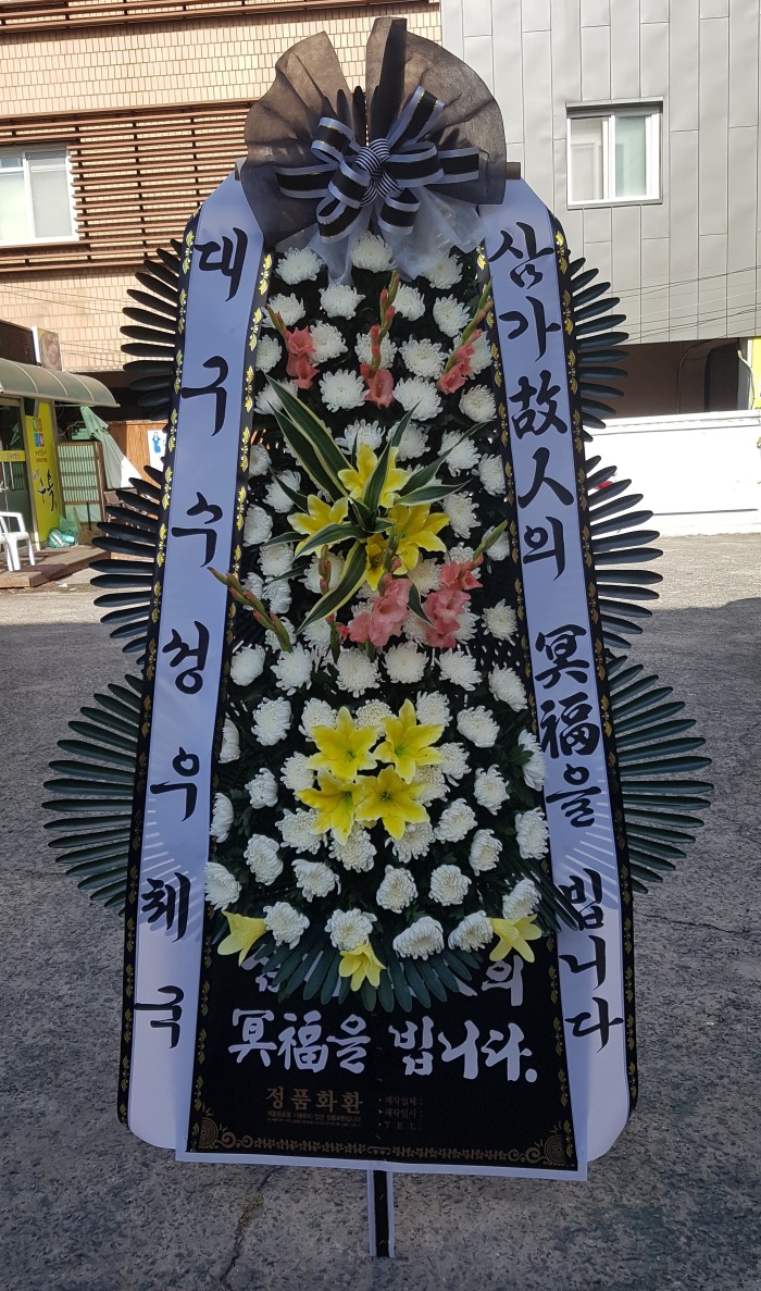 뱸ü 뱸ɹ Դϴ 