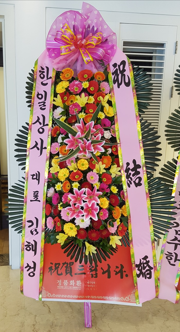 ϻ 뱸ɹ Դϴ 