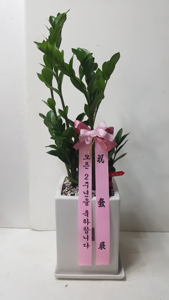 迵 뱸ɹ Դϴ 
